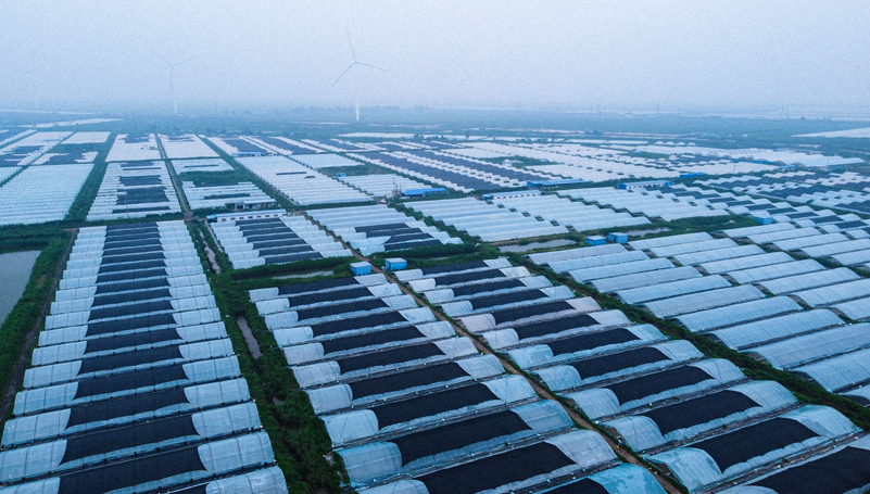 terres agricoles hautement standard (6)