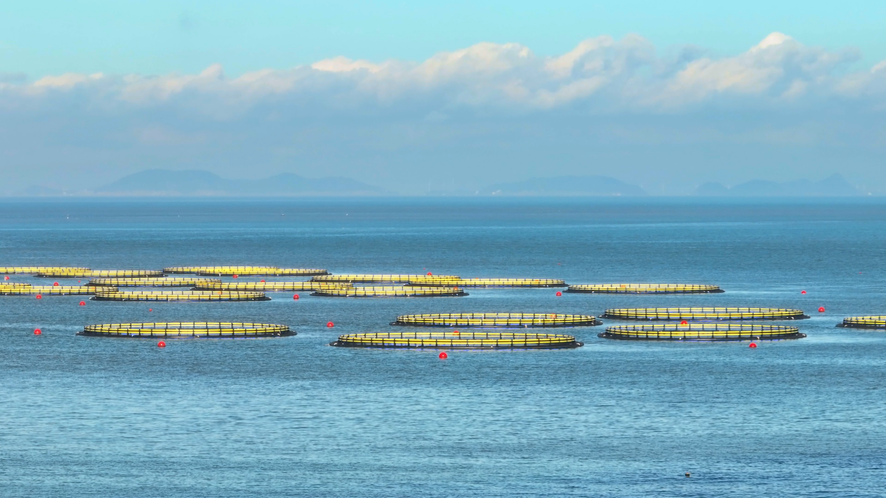 Super Projet | Se efforcer de la force de la mer, construisant conjointement 'Blue Granary de Dachen Island '