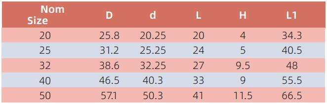 AED008 ADAPTATEUR DE CONDUIT AVEC ANNEAU DE VERROUILLAGE - LISSE &Agrave; FILET&Eacute;