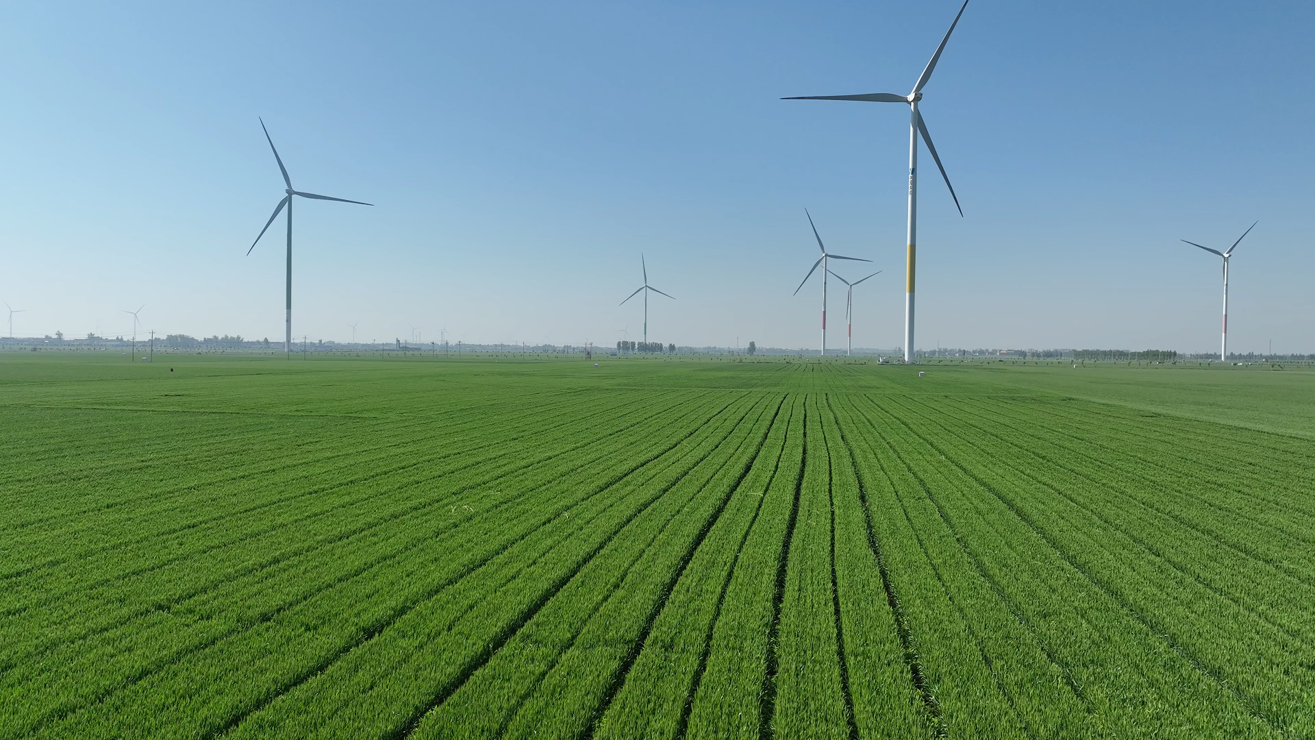 des terres agricoles de qualité 