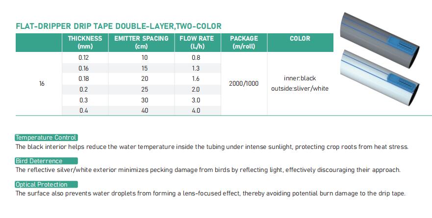 RUBAN DRIPPER PLAT DOUBLE COUCHE, BICOLORE.jpg