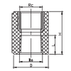 Adaptateur femelle avec laiton TPF013
