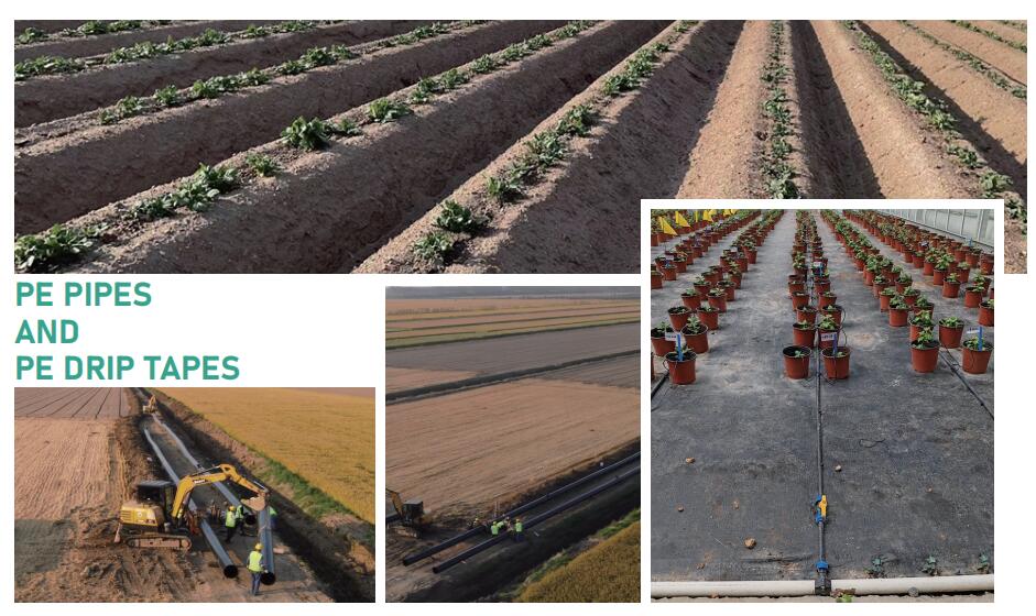 APPLICATIONS DE RUBAN GOUTTE &Agrave; GOUTTE.jpg